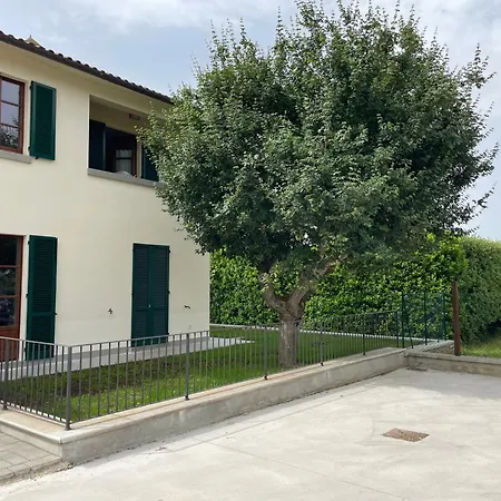 Acero * Cortona